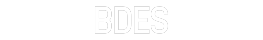 Custom Neon Sign Online Editor BDES