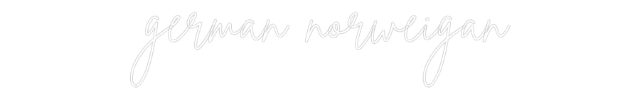 Custom Neon Sign Online Editor german norwei...