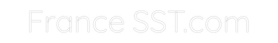 Custom Neon Sign Online Editor France SST.com