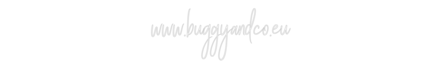Custom Neon Sign Online Editor www.buggyandc...