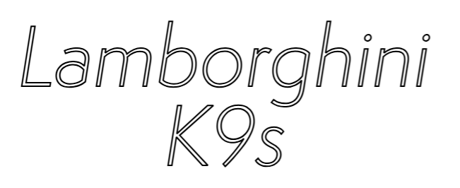 Outline Image