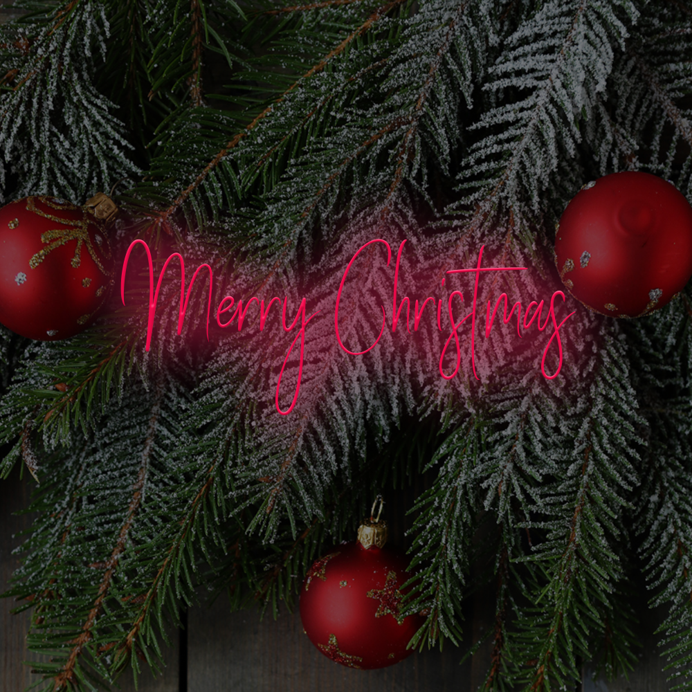 Merry Christmas LED neon sign 