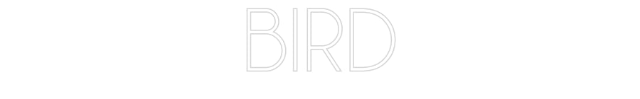 Custom Neon Sign Online Editor BIRD