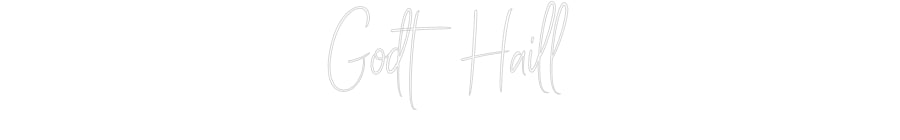 Custom Neon Sign Online Editor Godt Haill