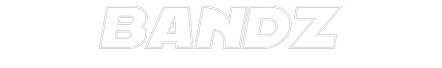 Custom Neon Sign Online Editor BANDZ