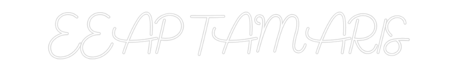 Custom Neon Sign Online Editor EEAP TAMARIS