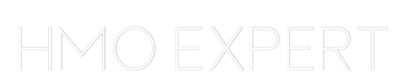 Custom Neon Sign Online Editor HMO Expert