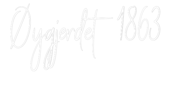 Custom Neon Sign Online Editor Øygjerdet 1863