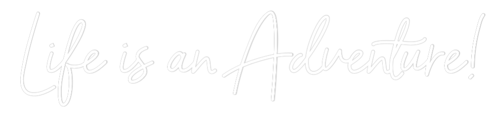 Custom Neon Sign Online Editor Life is an Ad...