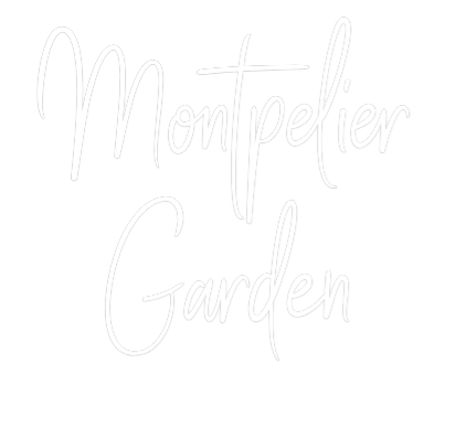Custom Neon Sign Online Editor Montpelier
G...