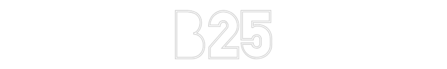 Custom Neon Sign Online Editor B25