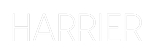 Custom Neon Sign Online Editor HARRIER