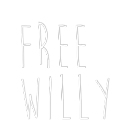 Custom Neon Sign Online Editor FREE
WILLY