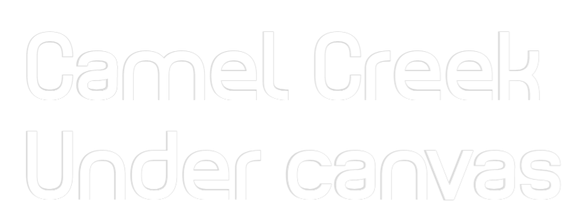 Custom Back Lit Neon Sign Online Editor Camel Creek
...