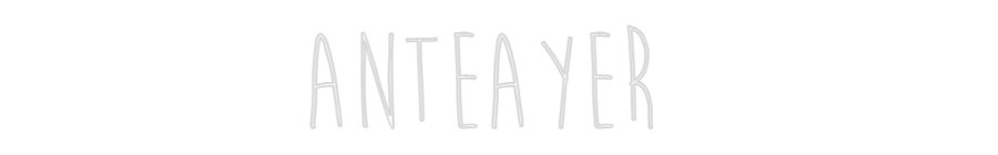Custom Neon Sign Online Editor ANTEAYER
