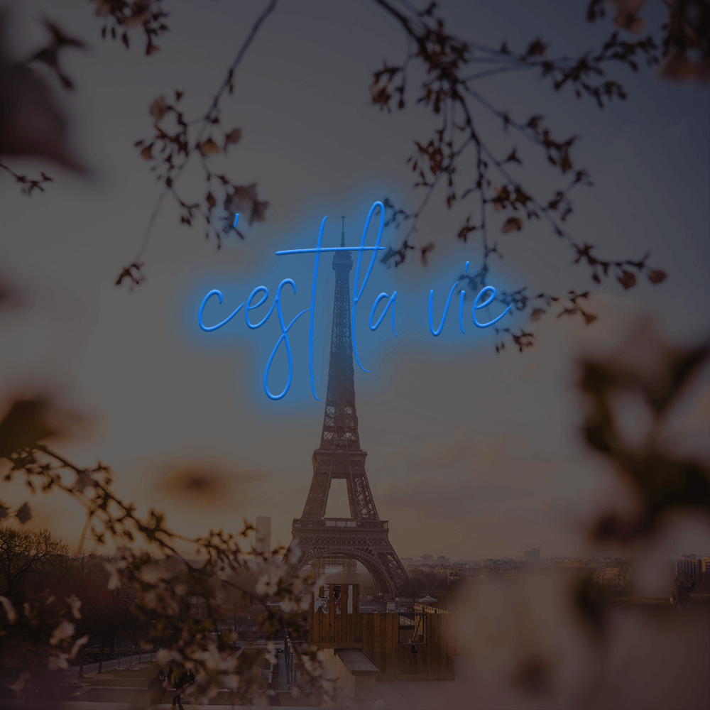 C'est La Vie French LED Neon Sign - Made in London Neon Signs