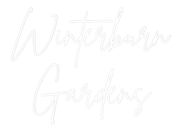 Custom Neon Sign Online Editor Winterburn
G...