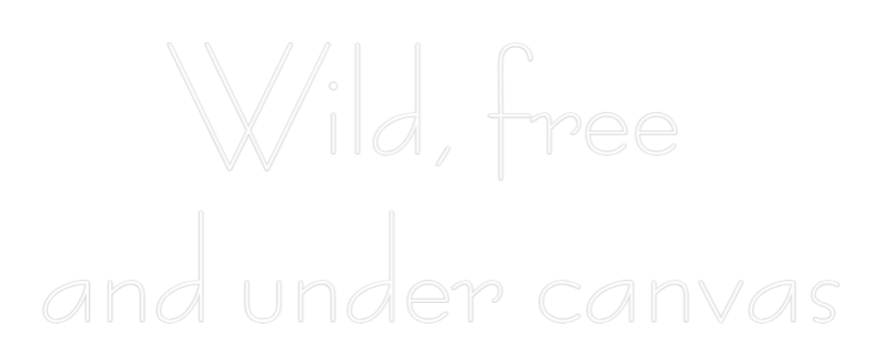 Custom Neon Sign Online Editor Wild, free 
...