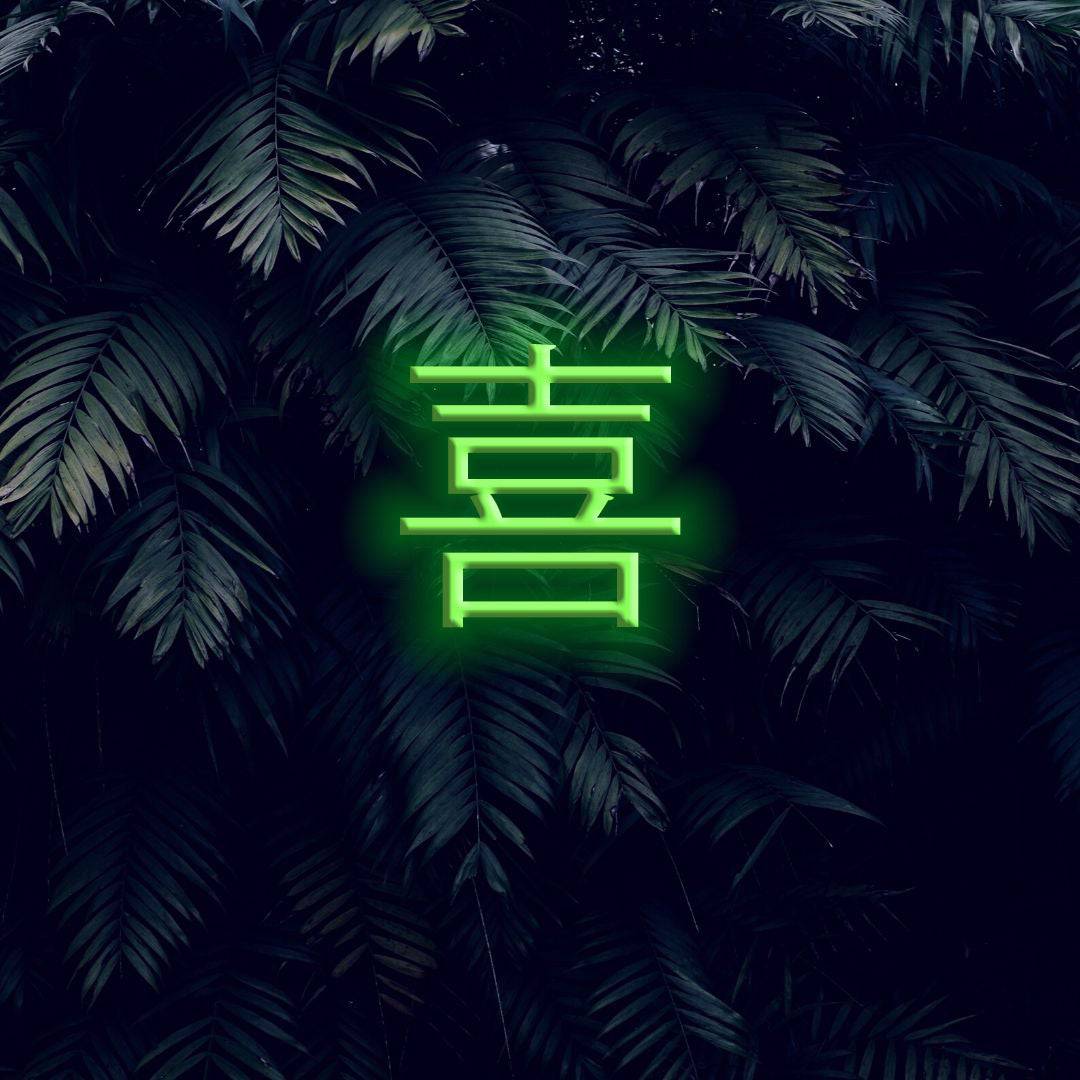 Chinese Happiness LED Neon Sign - Planet Neon